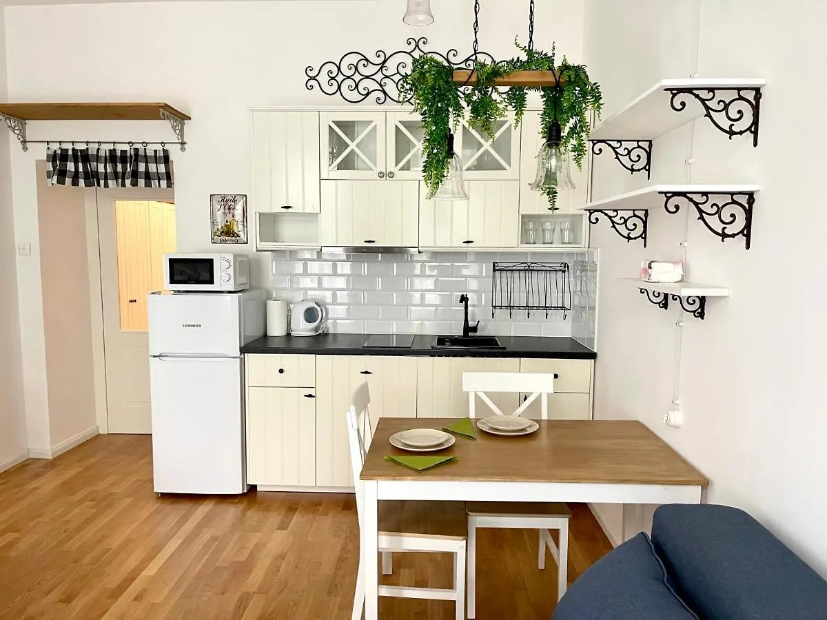 Centrum Bohemia Apartment 布拉格
